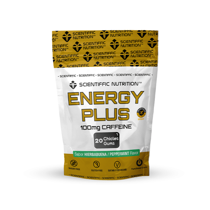 Energy Plus
